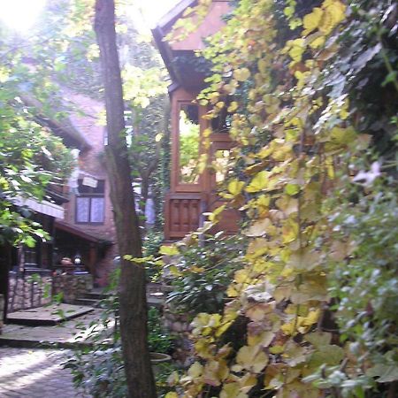 Gite Le Riesling Bergheim Zewnętrze zdjęcie