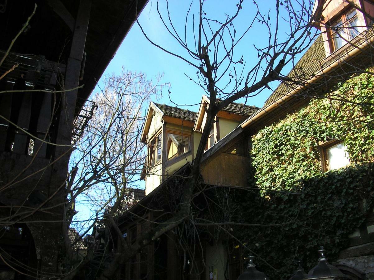 Gite Le Riesling Bergheim Zewnętrze zdjęcie
