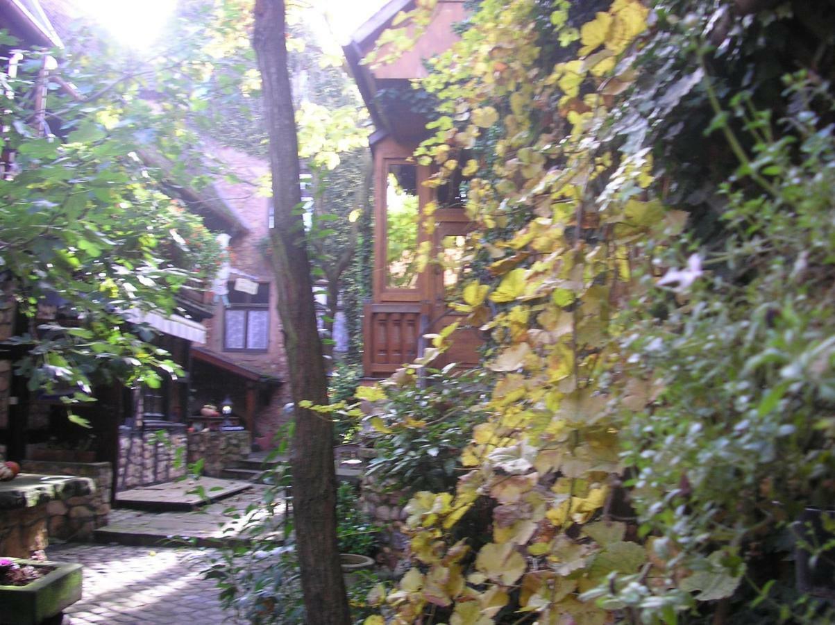 Gite Le Riesling Bergheim Zewnętrze zdjęcie